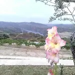 Гостевой дом Douro Natura