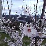 Гостевой дом Douro Natura Могадору