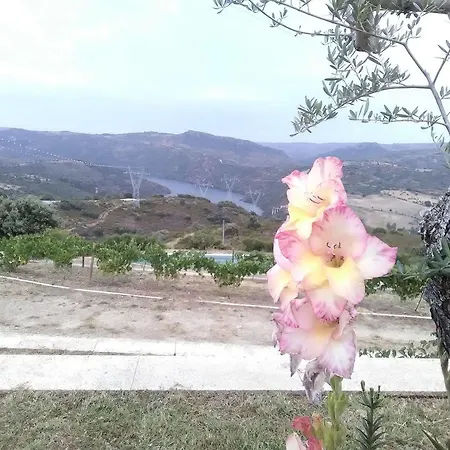Πανσιόν Douro Natura