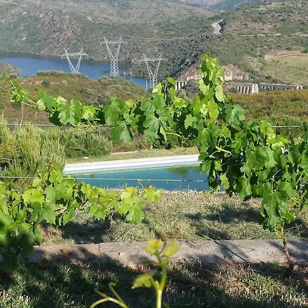 Douro Natura بيت ضيافة 3*