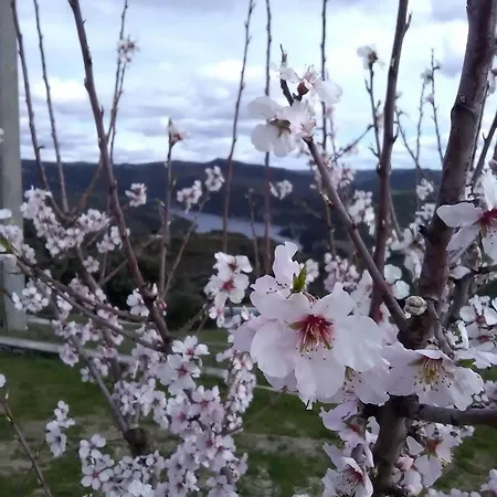 بيت ضيافة Douro Natura موغادورو