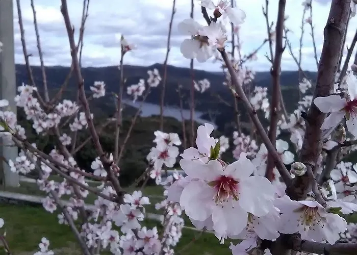 Gasthuis Douro Natura Mogadouro (Braganca)